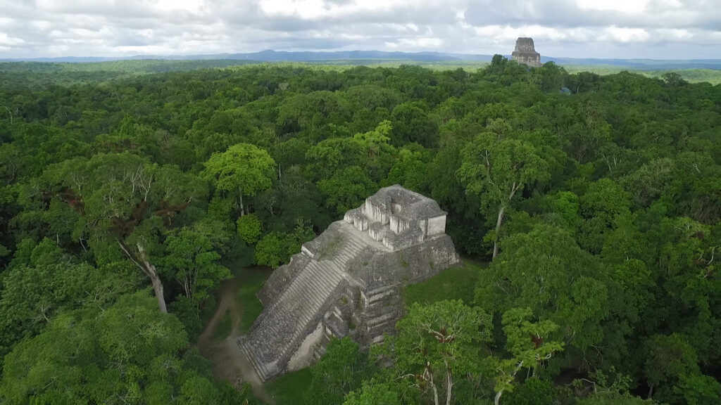 Aerial View Of The Lost World Temple At Tikal