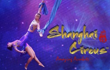 Acrobats Logo XL367